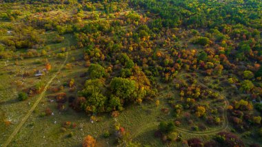 Sonbahar renkleri üzerinde Karst. Gün batımında ormandaki sonbahar renkli ağaçlar hava dron görüntü.