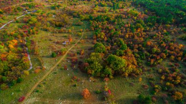 Sonbahar renkleri üzerinde Karst. Gün batımında ormandaki sonbahar renkli ağaçlar hava dron görüntü.