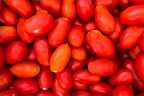 Delicious fresh raw Italian San Marzano tomatoes texture background.