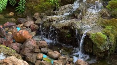 Gündüz vakti bahçedeki küçük şelalenin yavaş çekimi