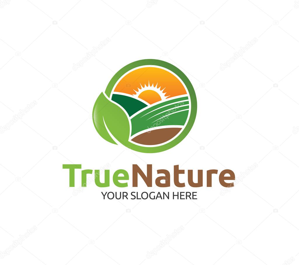 True Nature minimalist and modern logo
