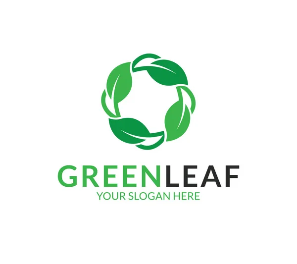 Vorlage Für Das Green Leaf Logo — Stockvektor