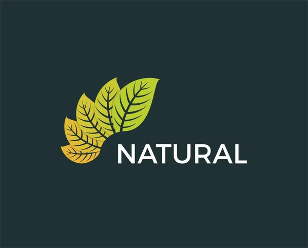 Natur Grünes Blatt Logo Design Template Vektor — Stockvektor
