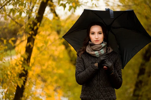 Dziewczyna idzie w parku jesień pod parasolem — Zdjęcie stockowe