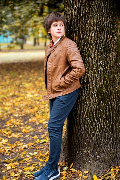 Zdjęcia Nastolatek Chłopiec Lesie Jesienią — Zdjęcie stockowe