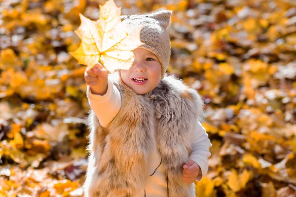 Foto Von Kleinem Mädchen Zeigt Herbstblatt — Stockfoto