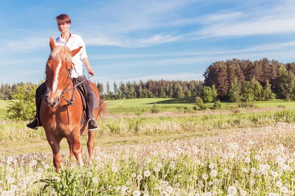 Girl riding a horse walking in the field — Stock Photo, Image