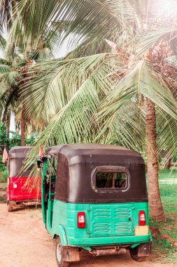 Tuk-tuk Taxi palmiye ağaçları altında ülke yolda fotoğraf 