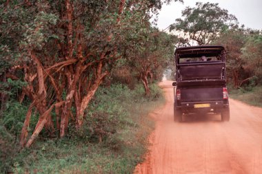 Colombo - Sri Lanka, 30 Ocak 2019. Siyah Jeep Safari fotoğraf. Yatay fotoğraf
