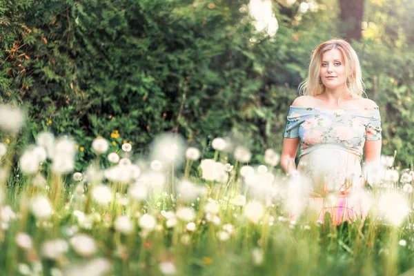 Pregnant woman with mehendi pattern on her belly is sitting on the field with dandelions — Stock Photo, Image