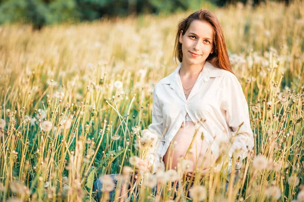 Pregnant woman in a white shirt is sitting at sunset in a field of dandelions — Stock Photo, Image