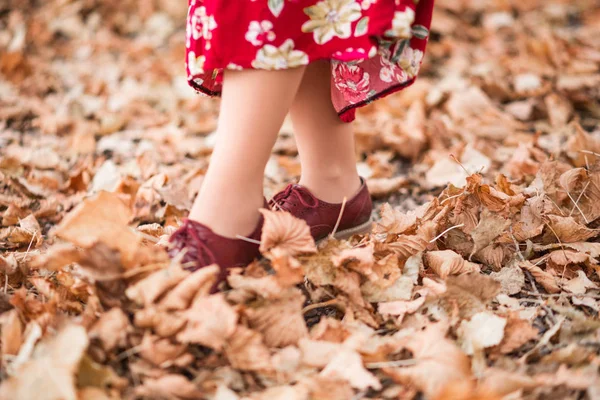 Το κορίτσι περπατάει στο πάρκο. Φωτογραφία των γυναικείων ποδιών σε καφέ παπούτσια — Φωτογραφία Αρχείου