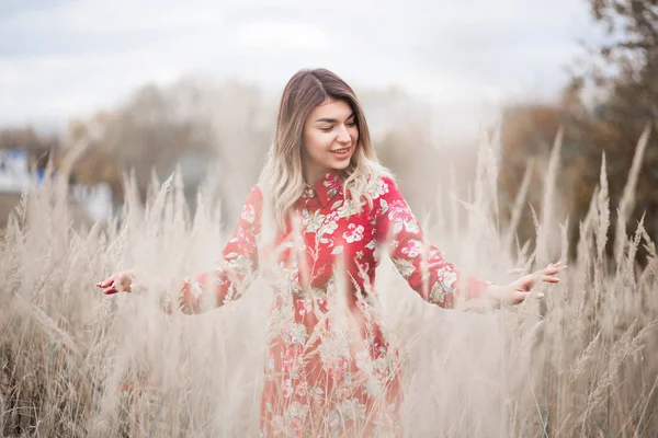 Hermosa chica en un vestido rojo camina entre la hierba alta en el campo —  Fotos de Stock