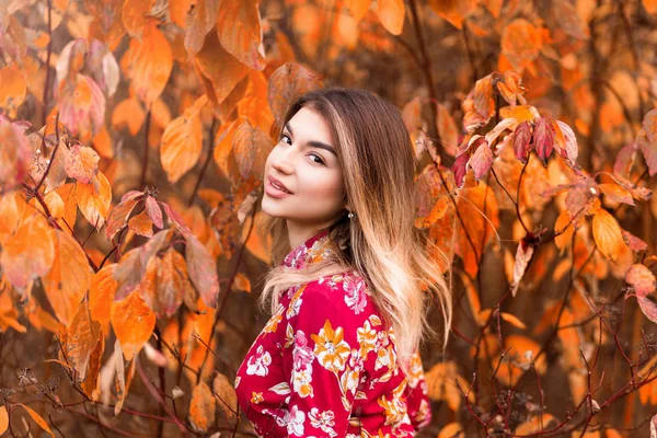 Bella ragazza in un abito rosso in posa su uno sfondo di un cespuglio autunno — Foto Stock