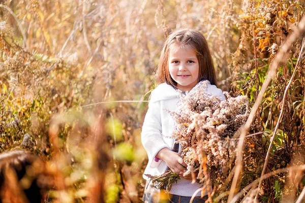 Bonne petite fille posant parmi les plantes sèches jaunes d'automne — Photo