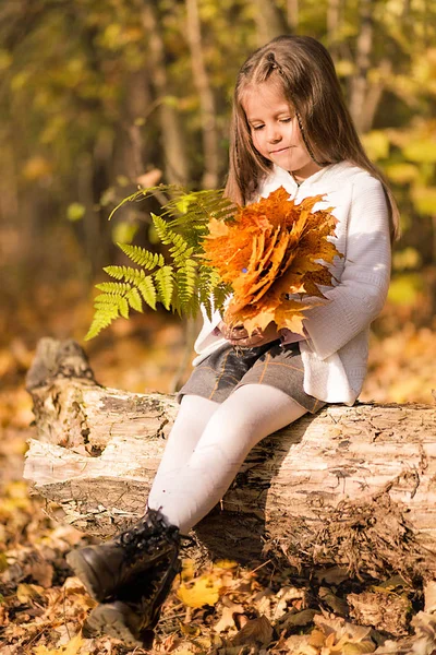 Petite fille assise dans la forêt avec un bouquet de feuilles jaunes d'automne — Photo