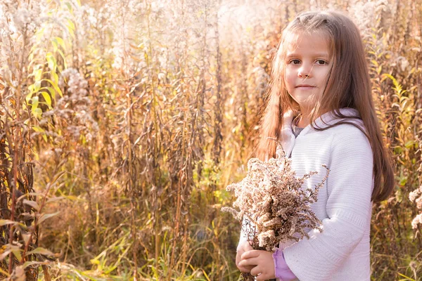 Niña feliz posando entre plantas secas amarillas de otoño —  Fotos de Stock