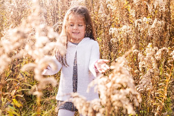 Una niña pequeña tiene un ramo de hierba de otoño en sus manos, de la que se dispersa pelusa —  Fotos de Stock