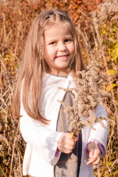 Ευτυχισμένο μικρό κορίτσι που ποζάρει μεταξύ φθινόπωρο κίτρινα ξηρά φυτά — Φωτογραφία Αρχείου