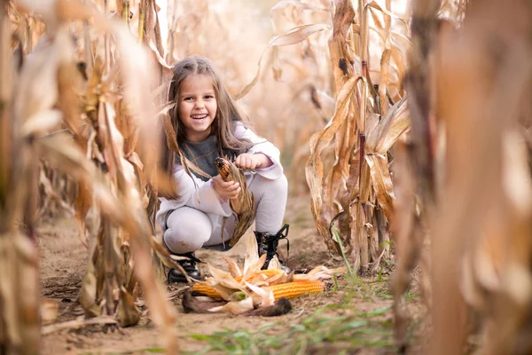 Niña recoge maíz en el campo —  Fotos de Stock