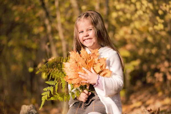 Petite fille assise dans la forêt avec un bouquet de feuilles jaunes d'automne — Photo