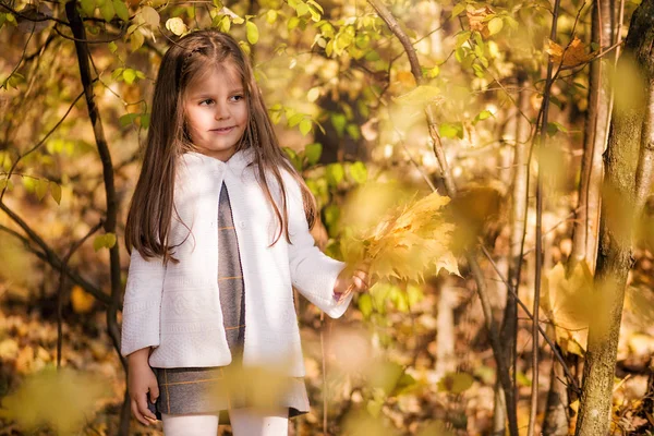 Bonne petite fille sur une promenade dans le parc d'automne — Photo