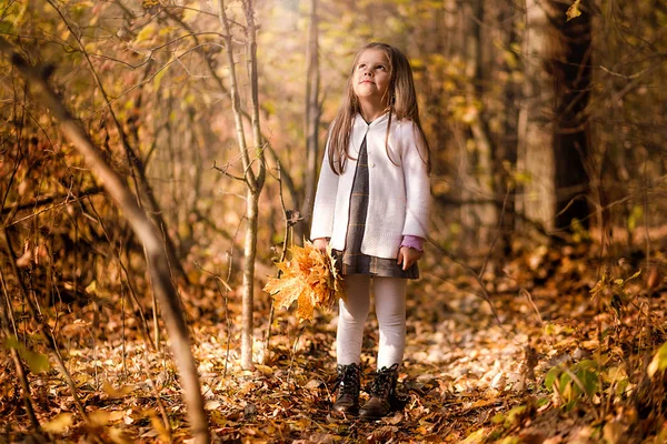 Bonne petite fille sur une promenade dans le parc d'automne — Photo