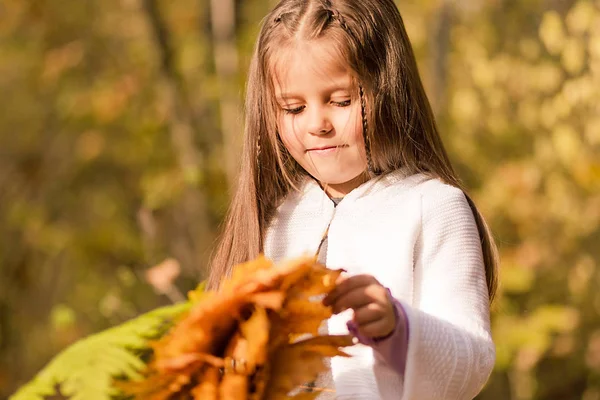 Petite fille assise dans la forêt avec un bouquet de feuilles jaunes d'automne — Photo