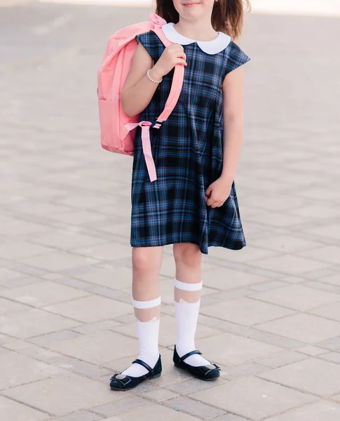Dziewczyna Niebieskiej Sukience Szkolnej Różowym Plecaku Plecach Vertycal Zdjęcie — Zdjęcie stockowe