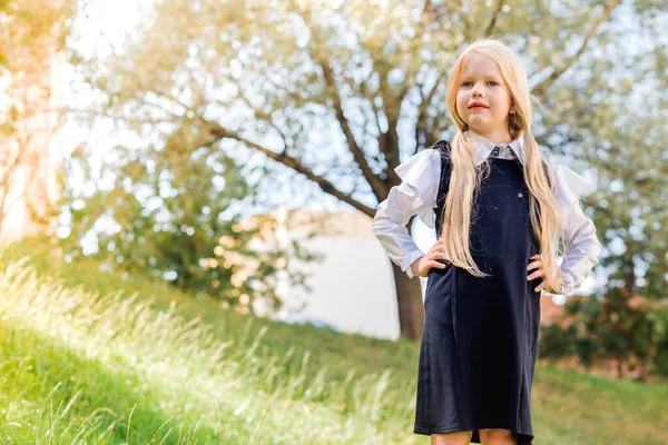 Une Petite Blonde Deux Queues Cheval Uniforme Scolaire Posant Sur — Photo