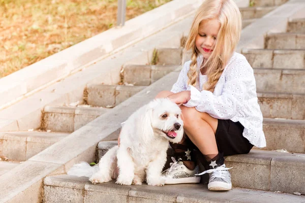 A little blonde girl with two ponytails in a white blouse and black shorts sits on the steps and looks at the dog. Horizontal photo