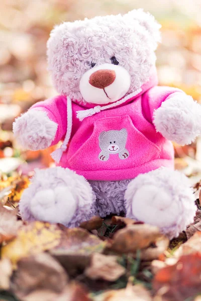 Lonely Teddy Bear Pink Sweater Sits Autumn Leaves Vertical Photo — Stock Photo, Image