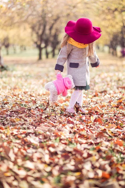 Gri montlu, sarı atkılı, bordo şapkalı ve elinde oyuncak ayıyla güzel bir kız. Bir kız sonbahar parkında yürüyor ve aşağıya bakıyor. Dikey fotoğraf