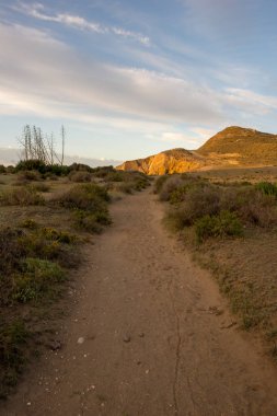 Cabo de Gata, İspanya Genoveses Beach'te erişim