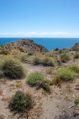 Dağ ve deniz Cabo de Gata, İspanya heykelleri