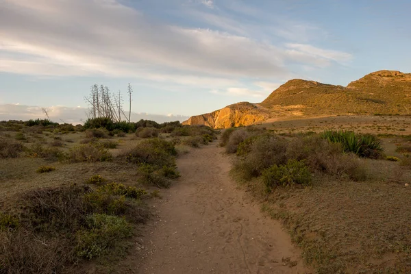 Accès Plage Genoveses Cabo Gata Espagne — Photo