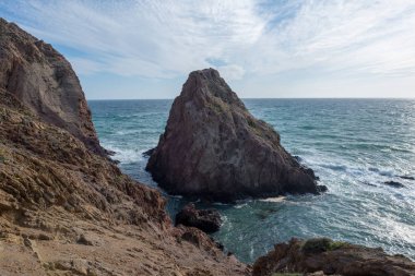 Cape güneşli günde bir kedi almeria, İspanya