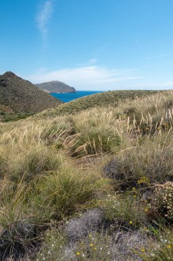 Dağ ve deniz Cabo de Gata, İspanya heykelleri