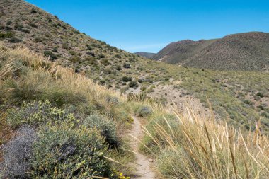 Dağları çölde almeria, İspanya'nın mavi gökyüzü altında