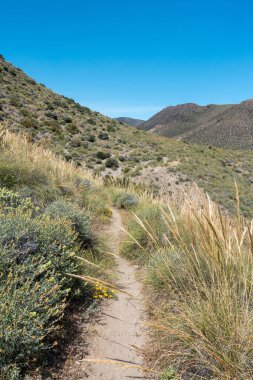 Dağları çölde almeria, İspanya'nın mavi gökyüzü altında