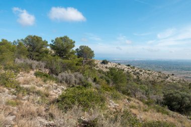 Akdeniz'ı çölden avuç Benicassim, İspanya