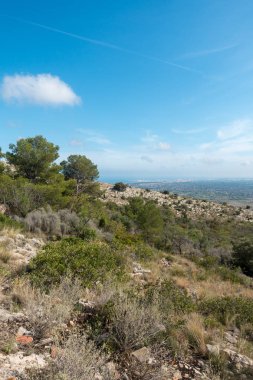 Akdeniz'ı çölden avuç Benicassim, İspanya
