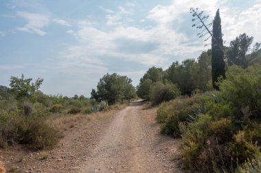 Ödeme yönetimi dağlar ve avuç içi ağaçlar, İspanya çöl