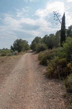 Ödeme yönetimi dağlar ve avuç içi ağaçlar, İspanya çöl