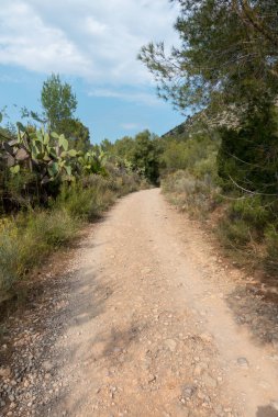 Ödeme yönetimi dağlar ve avuç içi ağaçlar, İspanya çöl