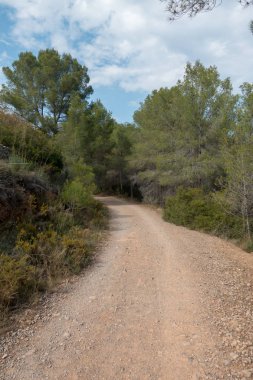 Ödeme yönetimi dağlar ve avuç içi ağaçlar, İspanya çöl