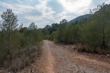 Ödeme yönetimi dağlar ve avuç içi ağaçlar, İspanya çöl