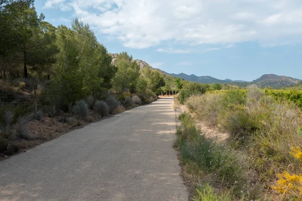 Ödeme yönetimi dağlar ve avuç içi ağaçlar, İspanya çöl