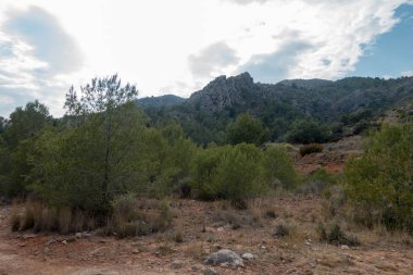 Ödeme yönetimi dağlar ve avuç içi ağaçlar, İspanya çöl