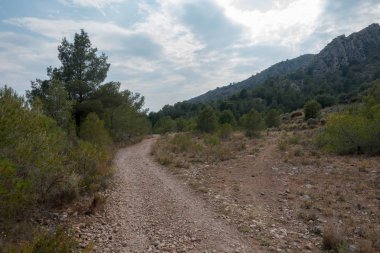 Ödeme yönetimi dağlar ve avuç içi ağaçlar, İspanya çöl